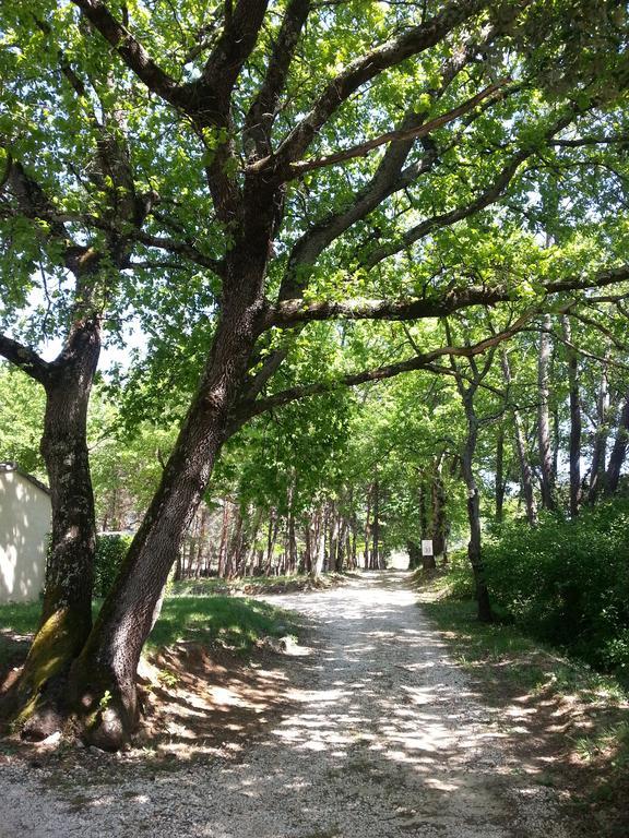 Camping Parc Saint Sauvayre Vagnas Luaran gambar